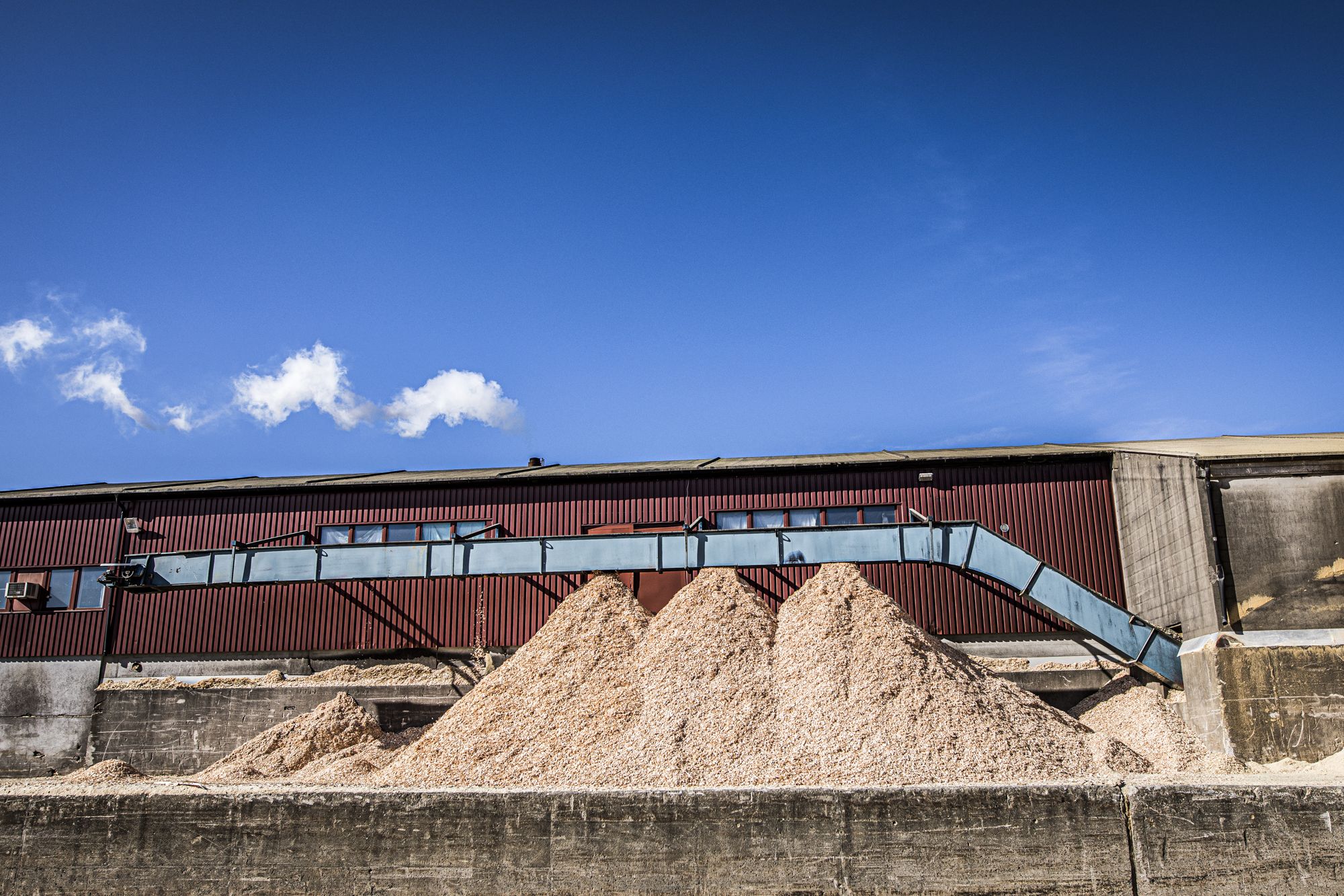 Malings børste med hvit maling